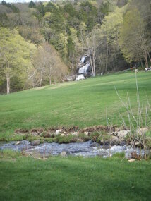 Expanse of green grass and quiet-running brook--'....to green pastures & still waters....'